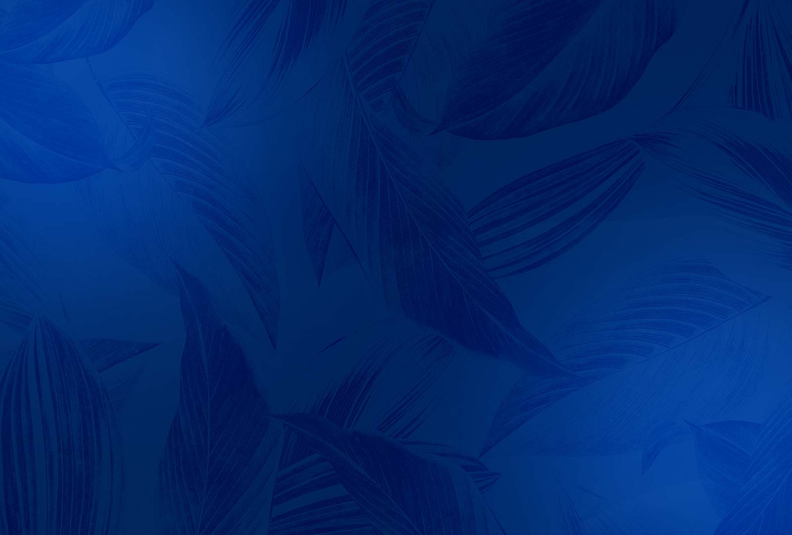 blue vector background hd