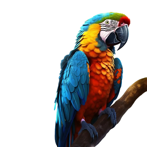 Parrot PNG Images Free Download